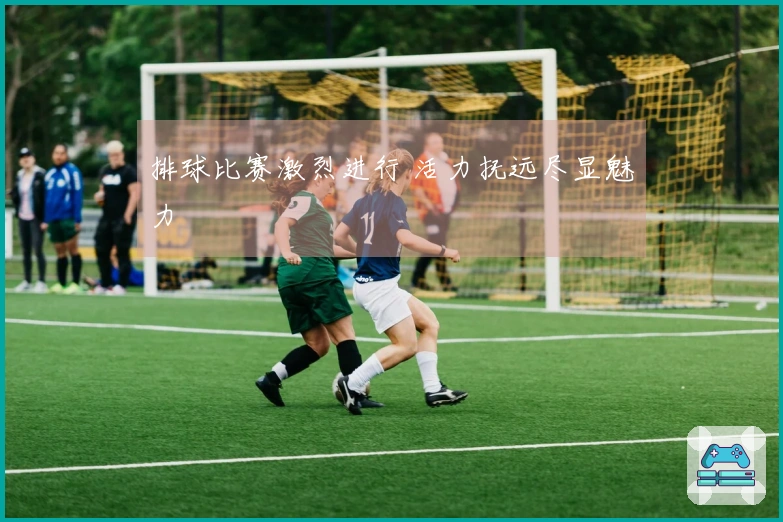 排球比赛激烈进行 活力抚远尽显魅力