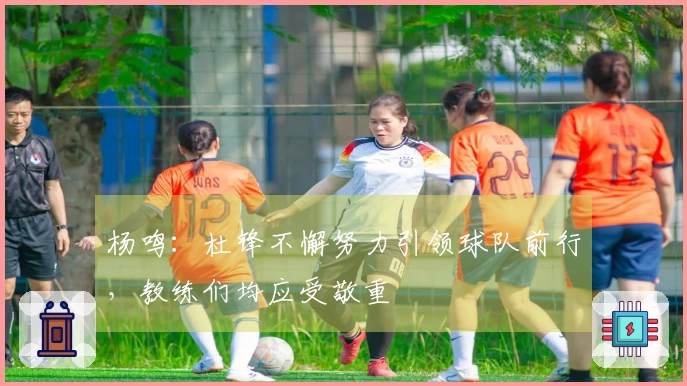 杨鸣：杜锋不懈努力引领球队前行，教练们均应受敬重