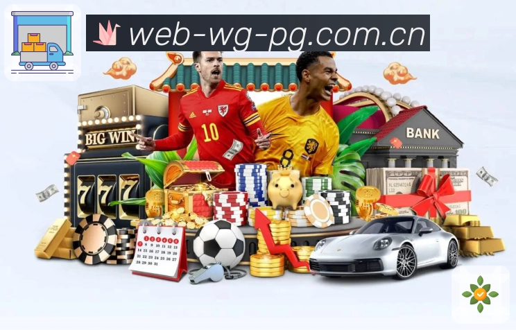 全球访问与关注概览图